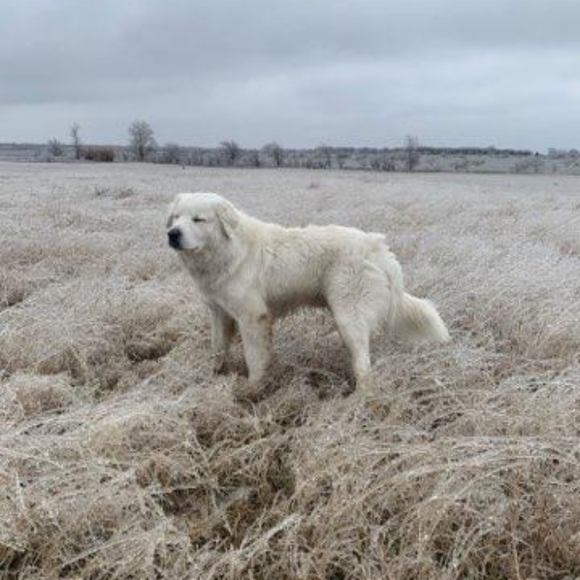 Meet your Posher, R Jewel - Picture 6 of 11